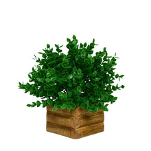 Artificial Plant Hackleberry Green Bunch in Wooden Pot - 17 cm Height