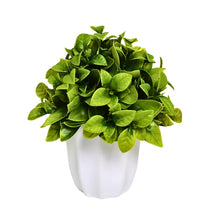 Artificial Citrus Leaves Green Bunch in Pot - 22 cm Height