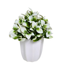 Artificial Citrus Leaves White Bunch in Pot - 22 cm Height