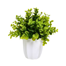 Artificial Plant Eucalyptus Green Bunch in Pot - 22 cm Height