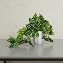 Artificial Real Touch Falling Leaves in Pot - Height 22 cm