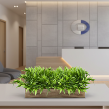 DecoreBugs Artificial Plant Bamboo Leaves in Wooden Rectangular Tray, Faux Desk Plant in Pot for Indoor Home Office Any Room Decor, Width 20cm x Height 12cm (Design-1, 12 Inch Planter)