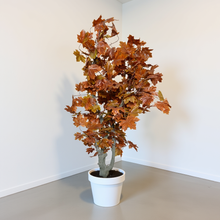 Artificial Plant without Pot - 60- Height (6 Feet)  without pot