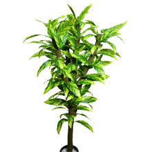 Artificial Green Tree plant 6 feet Height (without pot)