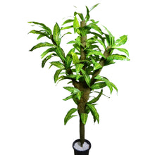 Artificial Green Tree plant 6 feet Height (without pot)