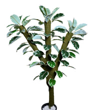 Artificial Green Plant in 4 feet Moss Stem (Without pot)