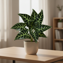 Artificial Leaves Plant 9 branches without Pot - Height 30 cm - Design-6