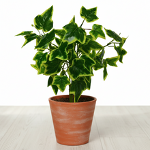 Artificial Leaves Plant 5 branches without Pot - Height 45 cm - Design-1