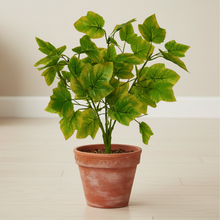 Artificial Leaves Plant 5 branches without Pot - Height 45 cm - Design-4