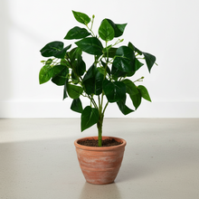 Artificial Leaves Plant 5 branches without Pot - Height 45 cm - Design-6
