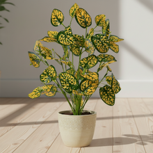 Artificial Croton Leaves plant 18 branches without Pot Height 50 cm - Design-1