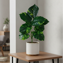 Artificial Green leaves 12 Point without pot - Height 45 cm -Design 2