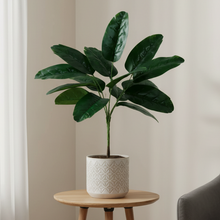 Artificial rubber plant 12 Point without pot - Height 60 cm - Design 1