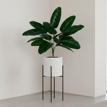 Artificial rubber plant 12 Point without pot - Height 60 cm - Design 1