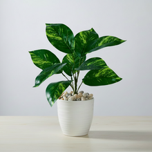 Artificial Plant 9 Leaves without Pot - Height 30 cm - Design-3
