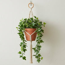 Artificial Real Touch Leaves Hanging without Pot (Height - 70 cm ) Design-06