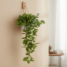 Artificial Real Touch Leaves Hanging without Pot (Height - 70 cm ) Design-09