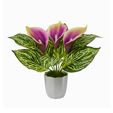Artificial Calla Lily Plant with Pot – 30 cm Height - Design 1
