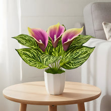 Artificial Calla Lily Plant with Pot – 30 cm Height - Design 1