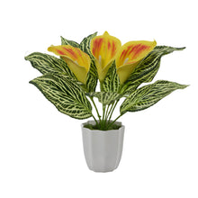 Artificial Calla Lily Plant with Pot – 30 cm Height - Design 2