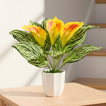 Artificial Calla Lily Plant with Pot – 30 cm Height - Design 2