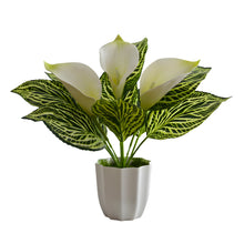 Artificial Calla Lily Plant with Pot – 30 cm Height - Design 3