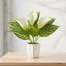 Artificial Calla Lily Plant with Pot – 30 cm Height - Design 3