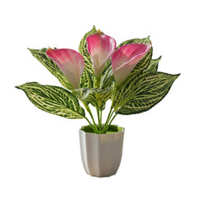 Artificial Calla Lily Plant with Pot – 30 cm Height - Design 4