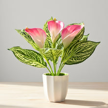 Artificial Calla Lily Plant with Pot – 30 cm Height - Design 4