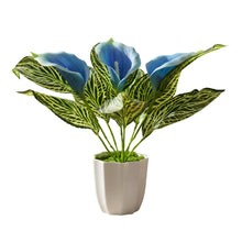 Artificial Calla Lily Plant with Pot – 30 cm Height - Design 5