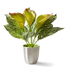 Artificial Calla Lily Plant with Pot – 30 cm Height - Design 6