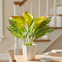 Artificial Calla Lily Plant with Pot – 30 cm Height - Design 6
