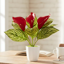 Artificial Calla Lily Plant with Pot – 30 cm Height - Design 7