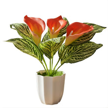 Artificial Calla Lily Plant with Pot – 30 cm Height - Design 8