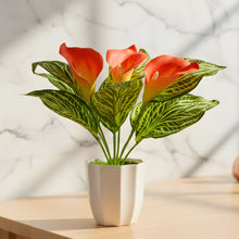 Artificial Calla Lily Plant with Pot – 30 cm Height - Design 8
