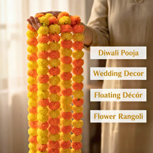 set of 10 genda toran