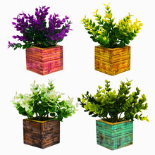 set of 4 hackleberry in printed pot