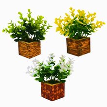 set of 3 tulsi in printed pot
