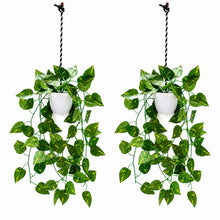 set of 2 hanging pot bail