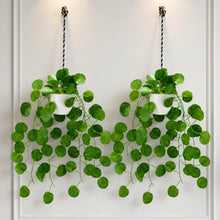 set of 2 hanging pot bail