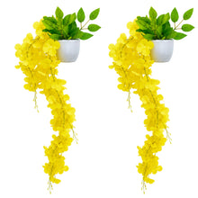 set of 2 Wisteria with pot