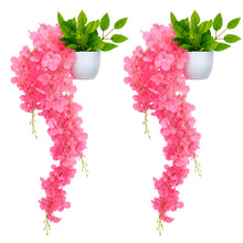 set of 2 Wisteria with pot