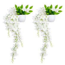 set of 2 Wisteria with pot