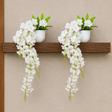 set of 2 Wisteria with pot