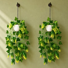 set of 2 Hanging pot bail + hackleberry