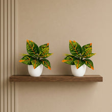 set of 2 real touch leaves in glassi pot