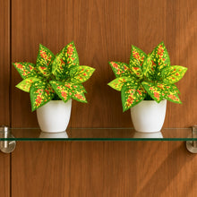 set of 2 real touch leaves in glassi pot
