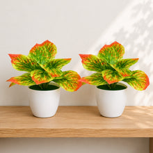 set of 2 real touch leaves in glassi pot