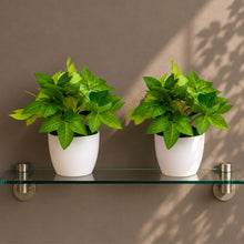 set of 2 real touch leaves in glassi pot