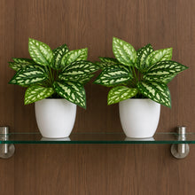 set of 2 real touch leaves in glassi pot